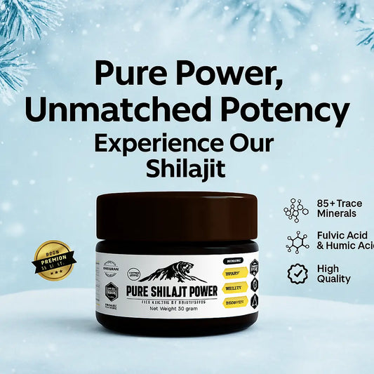 Shilajit 10g